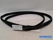 Türgummi links vorne Peugeot 107 9025AK