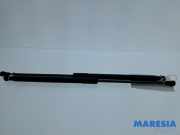 Heckklappendämpfer Peugeot 108 689500H040