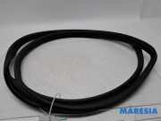 Türgummi rechts vorne Fiat 500 C 312 51829202