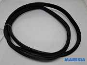 Türgummi rechts hinten Citroen C1 II B000820680