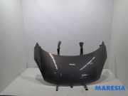 Motorhaube Renault Scenic III JZ 651008842R