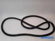 Türgummi links vorne Peugeot Expert III Kasten V 9806514880