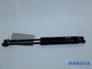 Heckklappendämpfer Renault Megane III CC EZ 904507914R