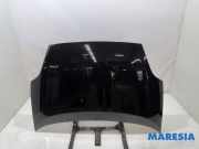 Motorhaube Fiat Punto Evo 199 0051701140