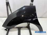 Kotflügel links vorne Citroen C3 II SC 7840X7