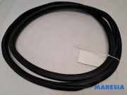 Türgummi links hinten Citroen C3 III SX 9813059680