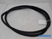 Türgummi links vorne Peugeot 3008 I 9676798080