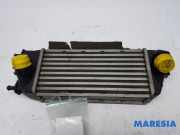 Ladeluftkühler Fiat Panda 312, 319 0051855481