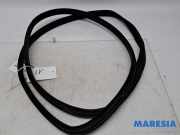 Türgummi links vorne Peugeot 108 B000807480