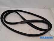 Türgummi links vorne Fiat 500 312 51829202