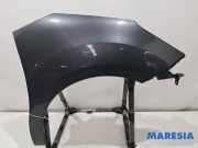 Kotflügel rechts vorne Citroen C3 II SC 7841Z7