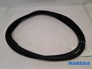 Türgummi links hinten Peugeot 3008 I 9676800280