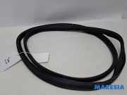 Türgummi links vorne Peugeot 107 9025AL