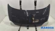 Motorhaube Fiat 500 C 312 52009424