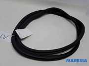 Türgummi links vorne Renault Megane IV Schrägheck B9A 808323631R