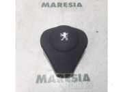Airbag Fahrer Peugeot 1007 96441877