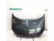 Motorhaube Peugeot 307 CC 7901J0