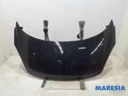 Motorhaube Renault Scenic III JZ 651008842R