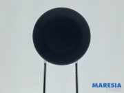 Kopfstütze Fiat 500 312 71776010