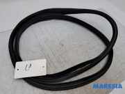 Türgummi links hinten Citroen C1 II B000820480