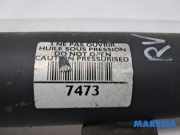Federbein rechts vorne Citroen C4 II B7 5208V8