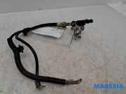 Sensor Citroen Berlingo II Multispace B9 9802871580