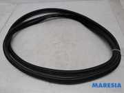 Türgummi links vorne Fiat 500L 351 51905920