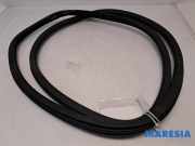 Türgummi links vorne Peugeot 308 II SW 9677519680