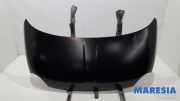 Motorhaube Fiat 500 312 52009424