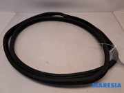 Türgummi links vorne Abarth 500 312 51829202