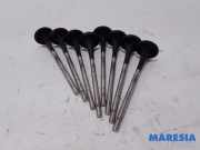 Auslassventil Renault Clio III BR0/1, CR0/1 7701473354