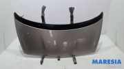 Motorhaube Peugeot 5008 I 7901R2