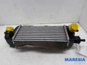 Ladeluftkühler Fiat Panda 312, 319 51930049