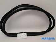 Türgummi links vorne Peugeot 308 II 9677519680