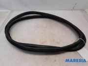 Türgummi links vorne Peugeot 2008 I 9673084680