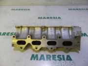 Verteilerrohr Kraftstoff Renault Scenic I JA 8200113350