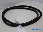 Türgummi rechts vorne Peugeot 3008 I 9676798080