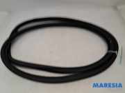 Türgummi links vorne Peugeot 208 II UB, UP, UW, UJ 9823214980