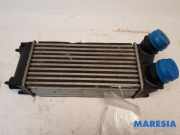 Ladeluftkühler Peugeot 3008 I 9656503480