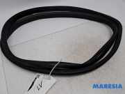 Türgummi links vorne Peugeot 108 B000807480