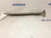 Sonnenblende rechts Renault Kangoo II Rapid FW0 9640002538R