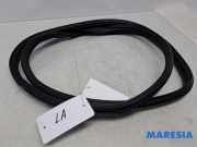 Türgummi links hinten Peugeot 108 B000820880