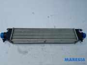 Ladeluftkühler Fiat Doblo Kasten 263 896255500