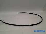 Dachzierleiste rechts Peugeot 107 8320E1