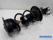 Federbein rechts vorne Renault Clio IV BH 543889524R