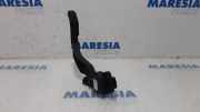 Sensor für Gaspedalstellung Peugeot 207 CC 9671433880
