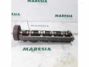 Nockenwelle Citroen Xantia X1 0801CE