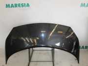 Motorhaube Renault Grand Scenic II JM 7751474289