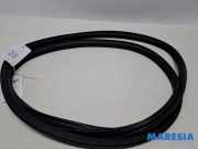 Türgummi rechts hinten Citroen C4 II Grand Picasso 9677276780