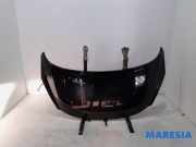Motorhaube Peugeot 207 7901N2